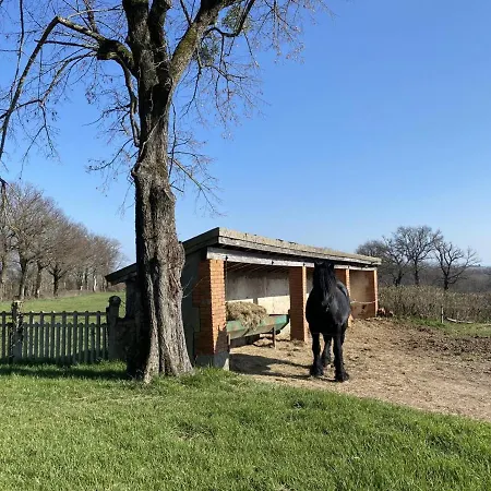 Holiday home Familial A Avec Terrasse, Proche Nature Et Ferme Equestre - Fr-1-489-371