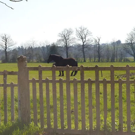 Familial A Avec Terrasse, Proche Nature Et Ferme Equestre - Fr-1-489-371